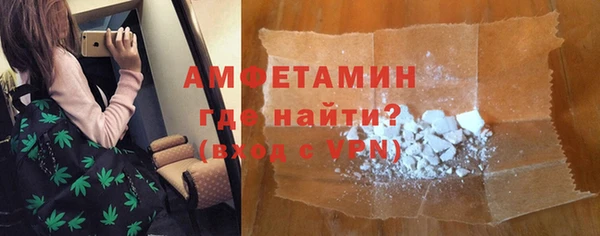 шишки Надым