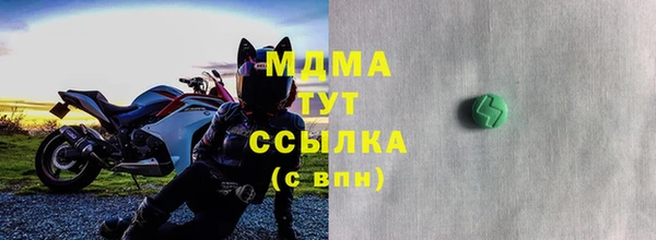 шишки Надым