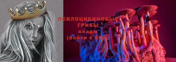 шишки Надым