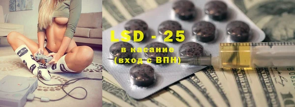 шишки Надым