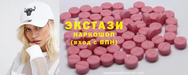 шишки Надым