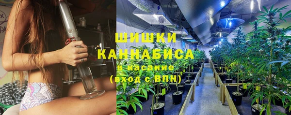 шишки Нефтегорск