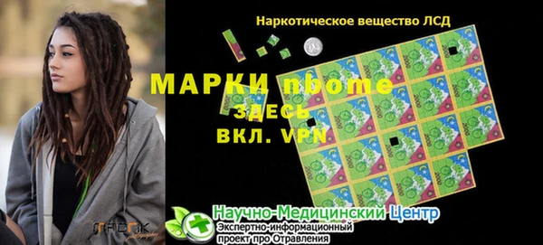 шишки Надым
