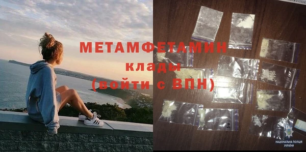 шишки Надым