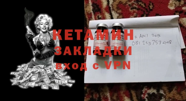 шишки Надым