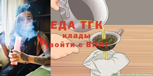шишки Надым