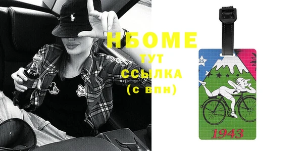 шишки Надым