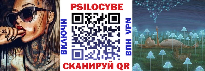 закладка  Красавино  Псилоцибиновые грибы Psilocybine cubensis 