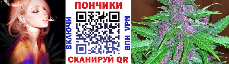 Бошки марихуана Amnesia  маркетплейс наркотические препараты  Красавино 